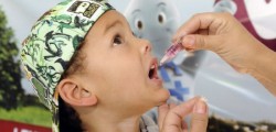 763-dos-mineiros-ja-estao-vacinados-contra-a-poliomielite-750x360-250x120